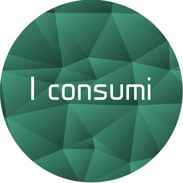 Capitolo 2 <br>I consumi